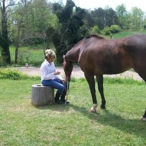 Meet your Posher, Kathy